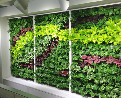 Vertical Garden